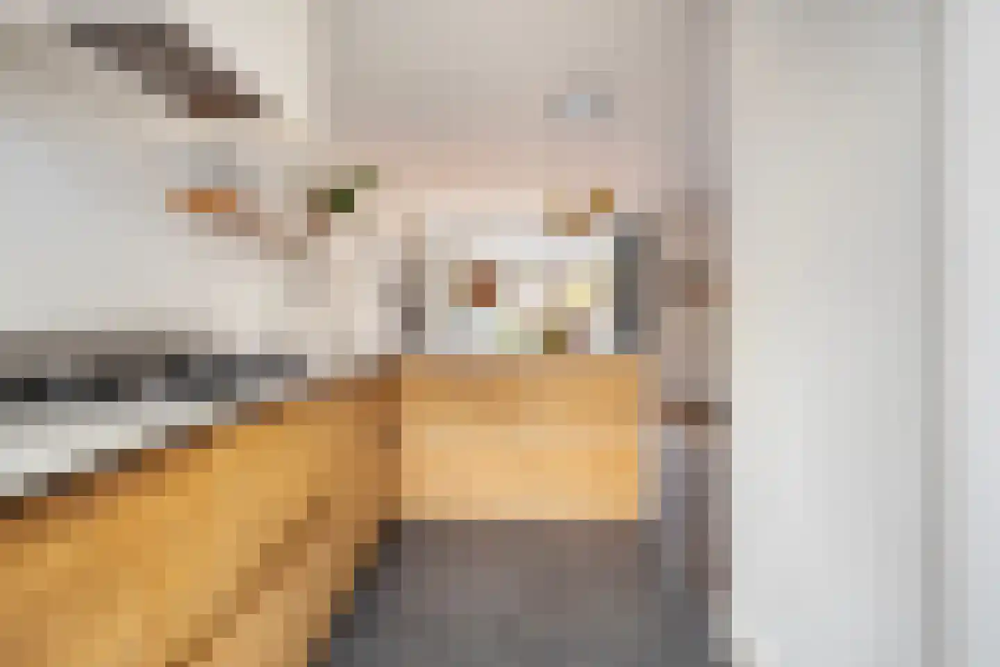 Dintel 76 a Tilburg thumbnail 25