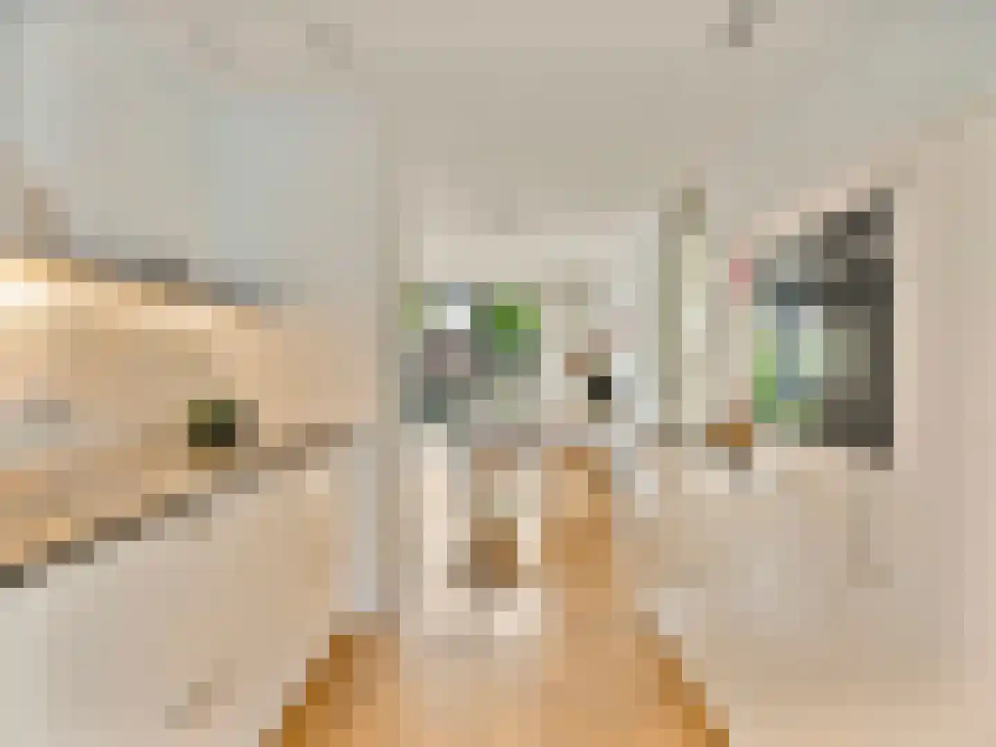 Dintel 9 De Meern thumbnail 19
