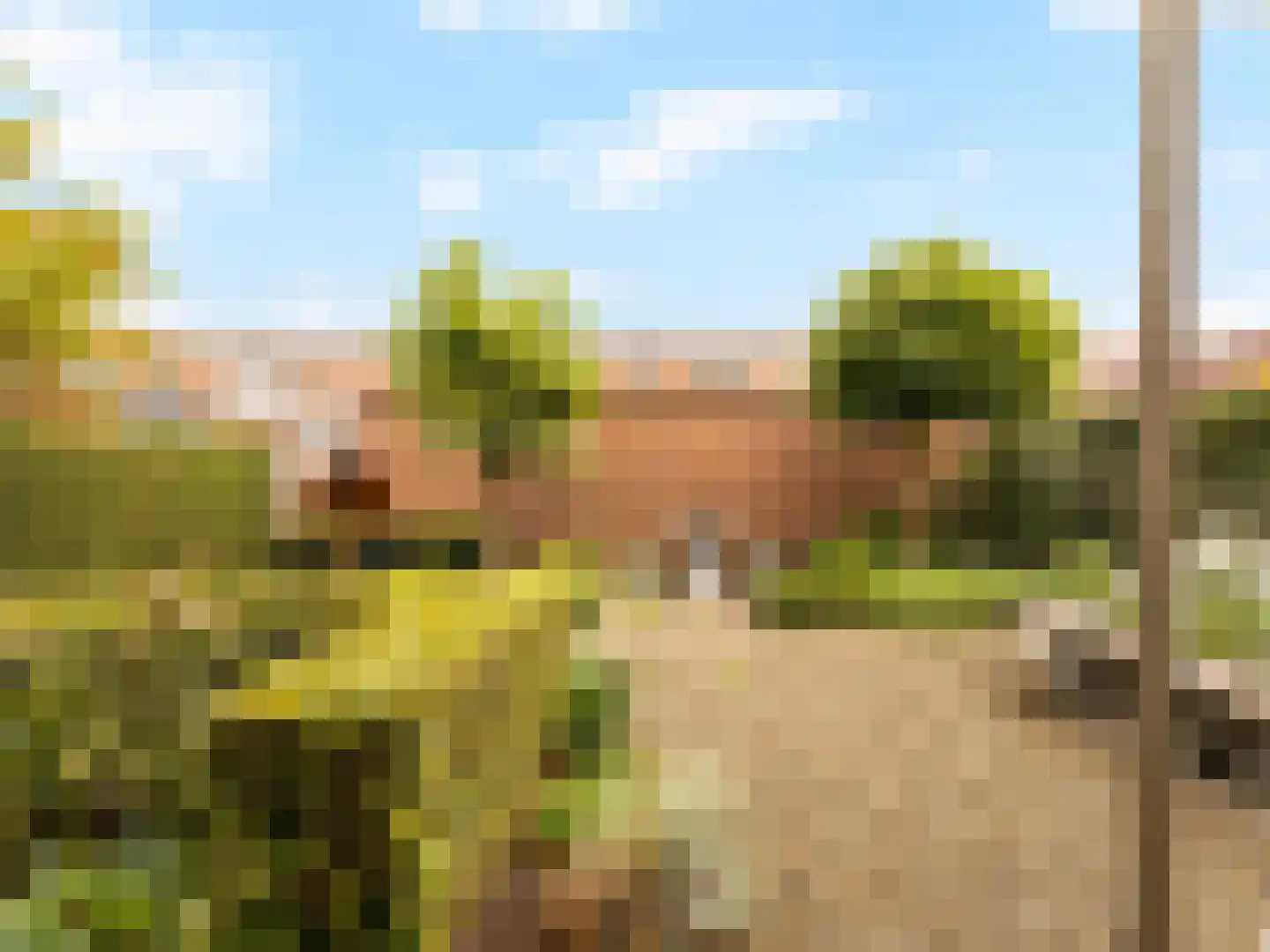 Dintel 9 De Meern thumbnail 28