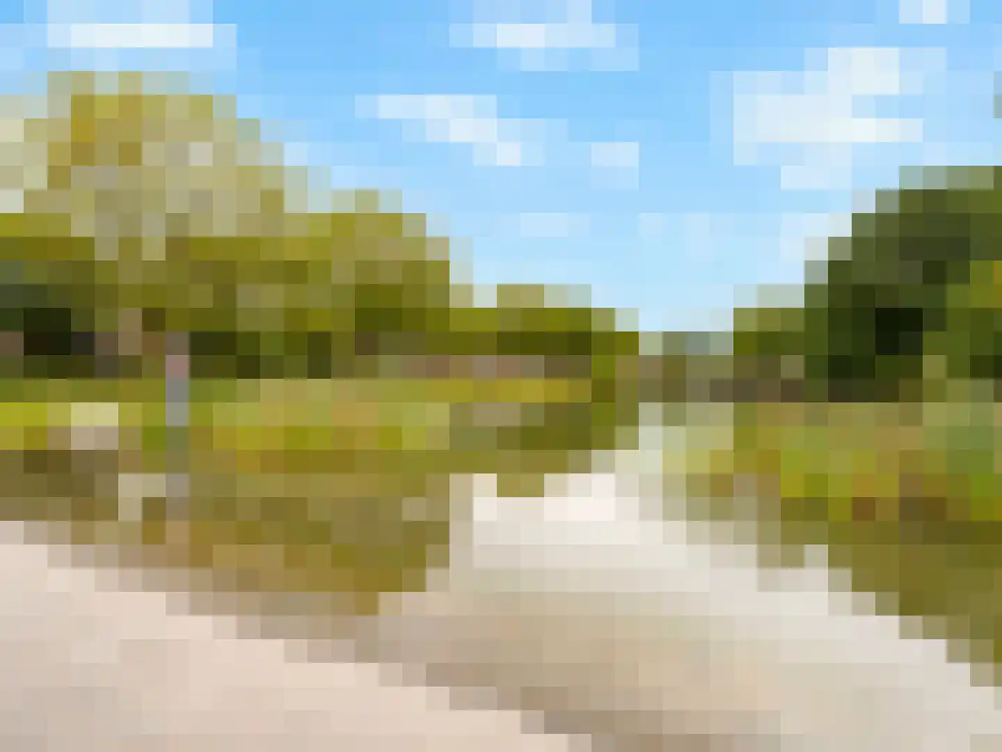 Dintel 9 De Meern thumbnail 36