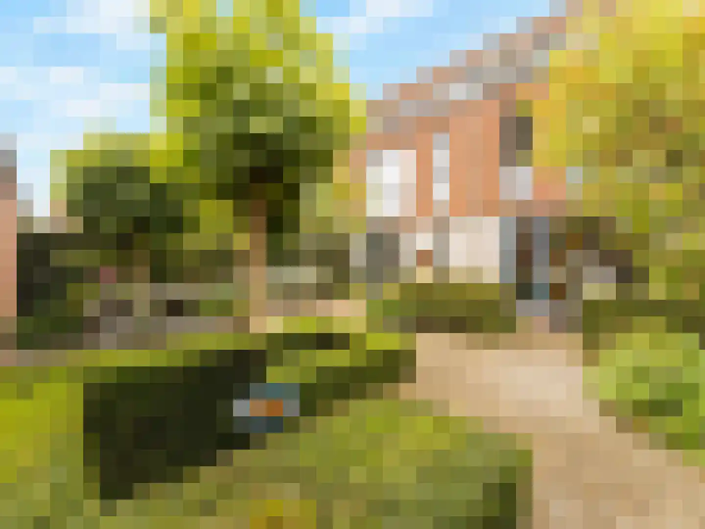 Dintel 9 De Meern thumbnail 5