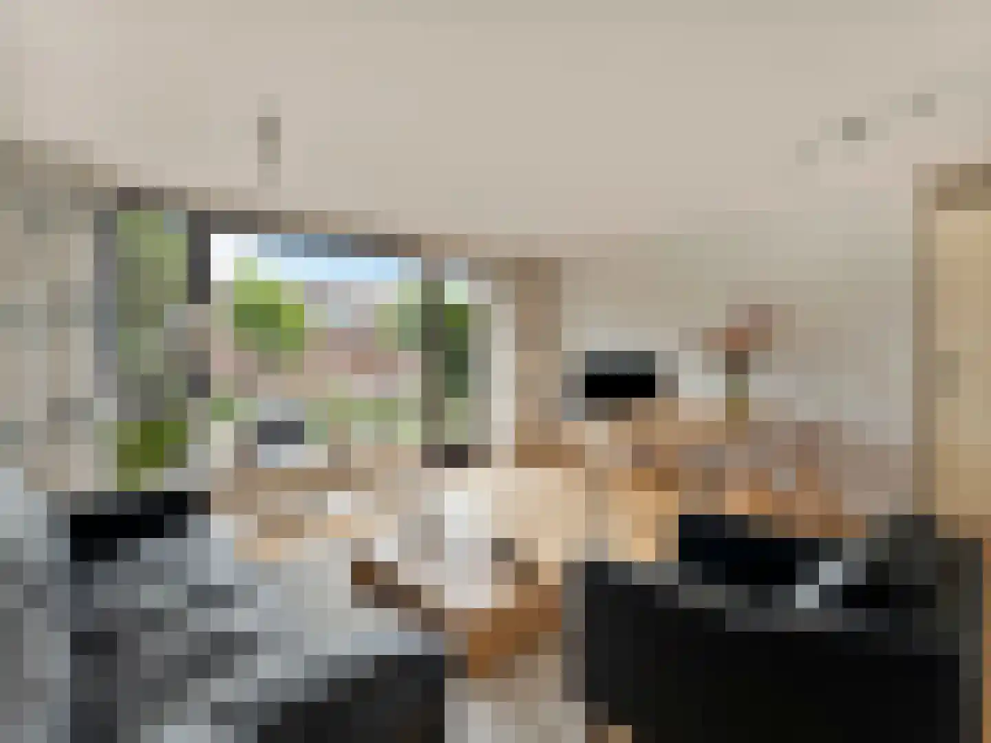Dintel 9 De Meern thumbnail 8