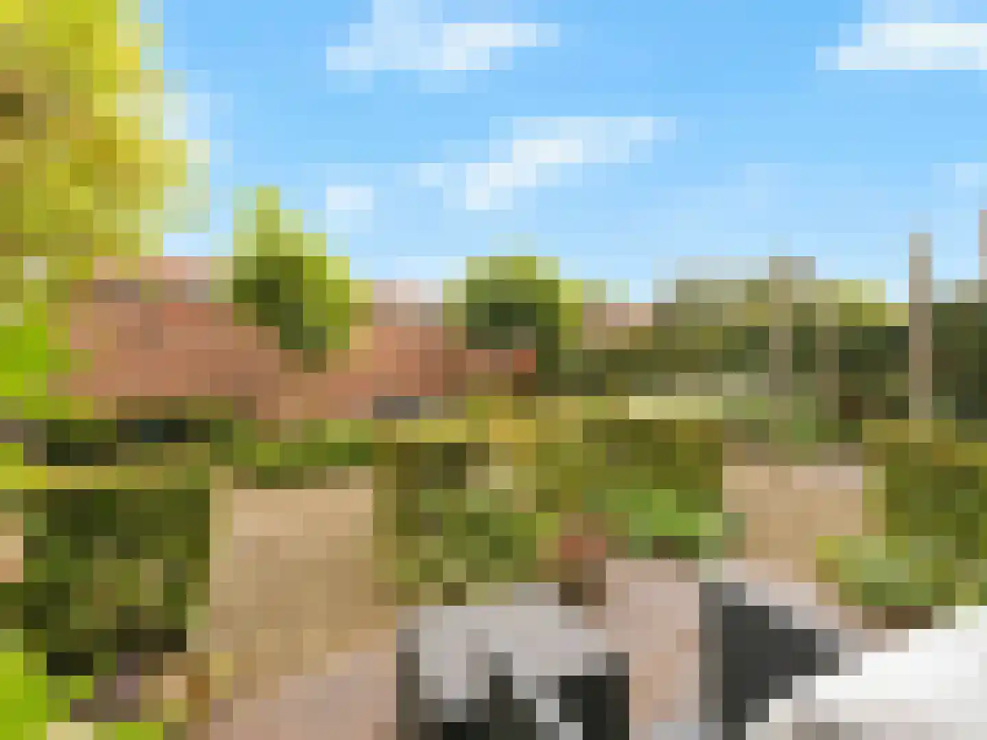 Dintel 9 De Meern thumbnail 9