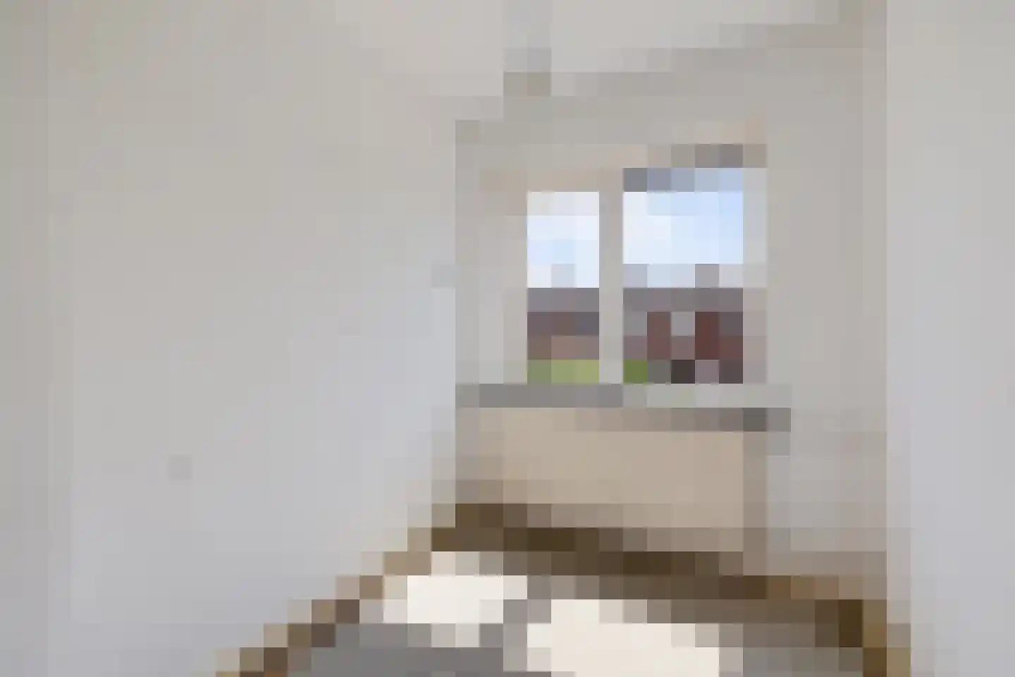 Dintellaan 10 Stadskanaal thumbnail 12