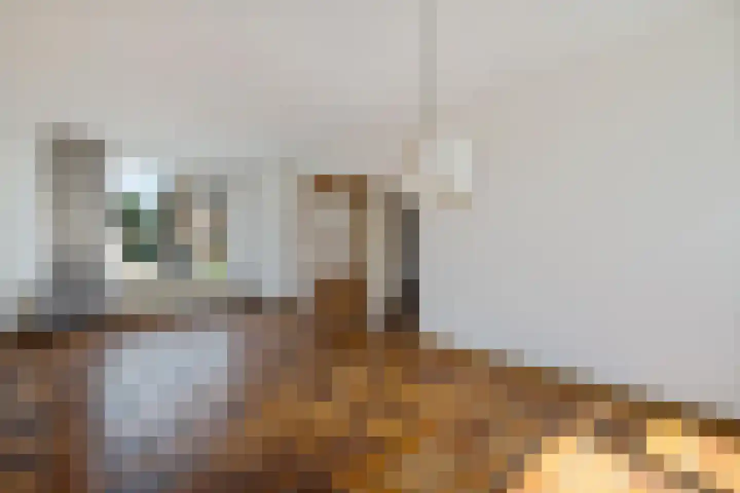 Dintellaan 10 Stadskanaal thumbnail 7