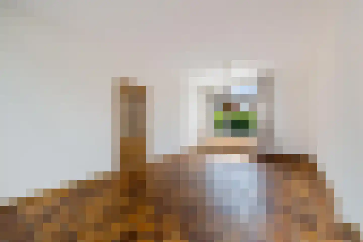 Dintellaan 10 Stadskanaal thumbnail 8