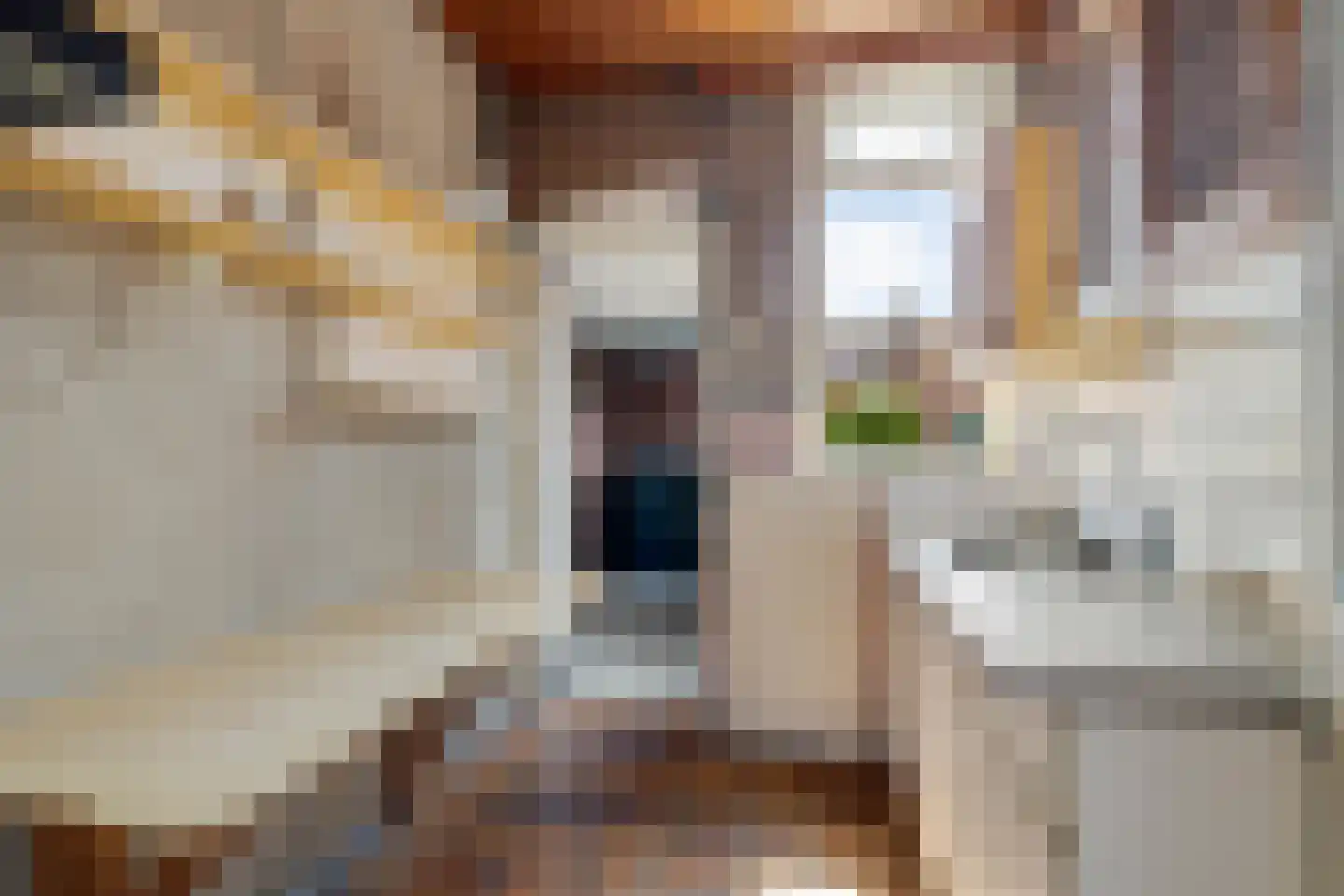 Dintellaan 10 Stadskanaal thumbnail 9