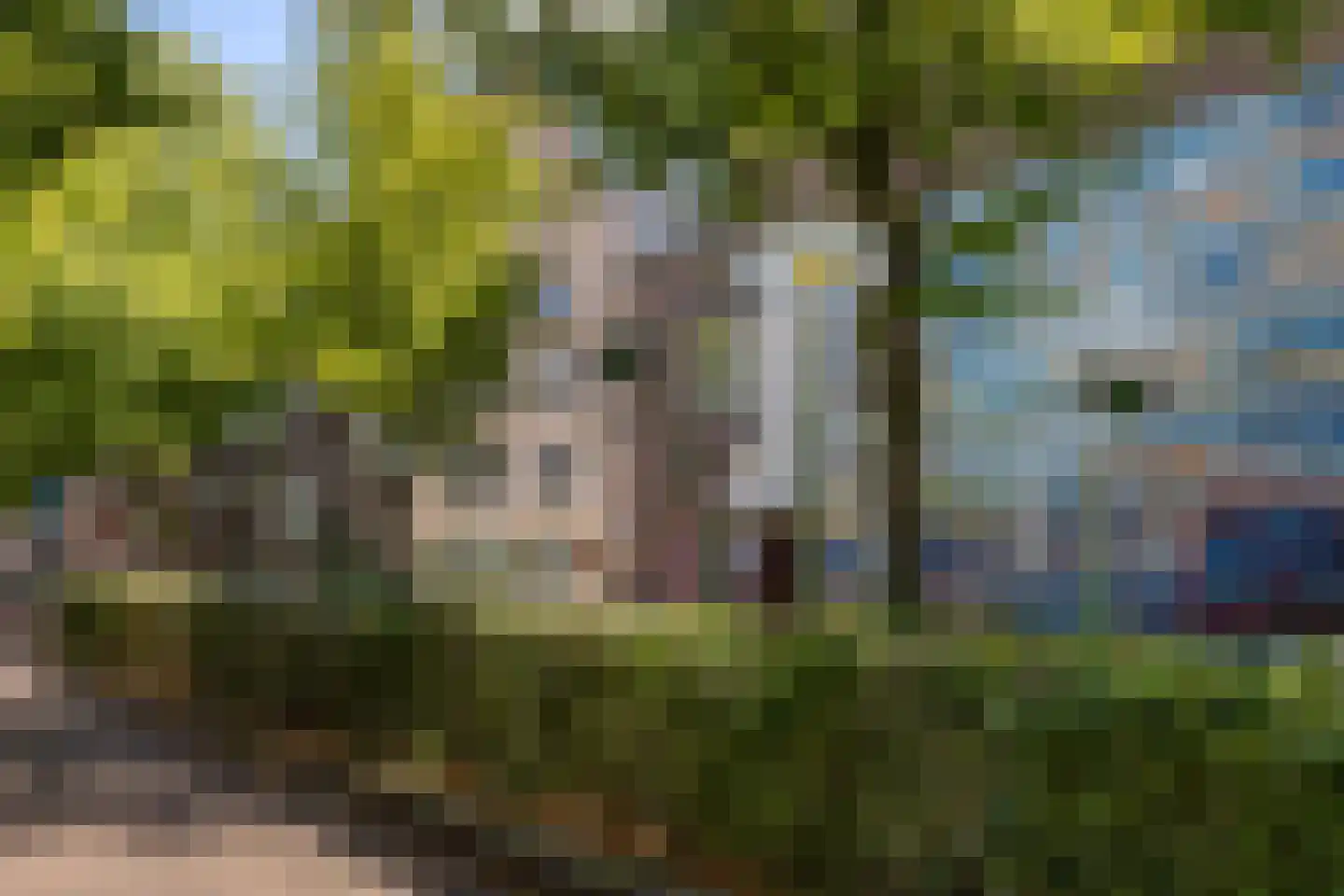 Dintelstraat 106 2 Amsterdam thumbnail 28