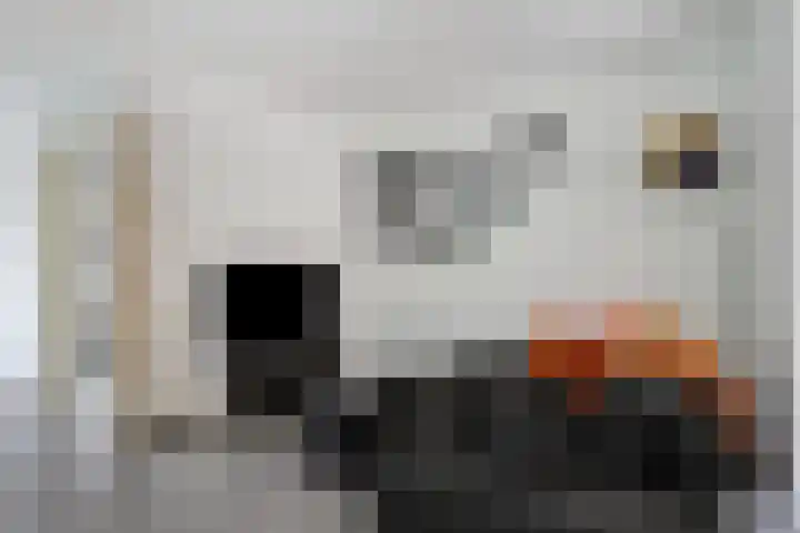 Dintelstraat 11 Breda thumbnail 9