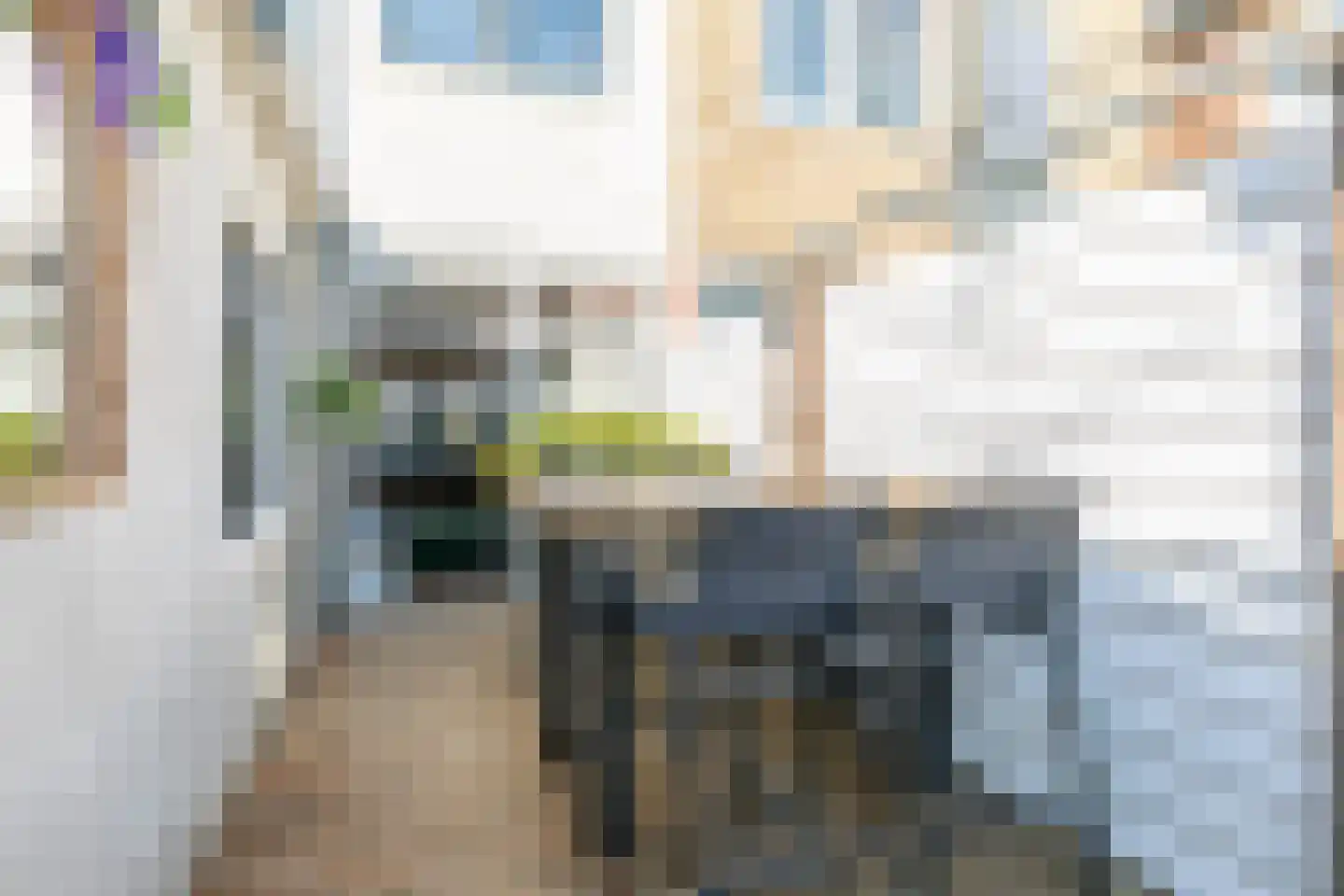 Dintelstraat 17 Amersfoort thumbnail 21