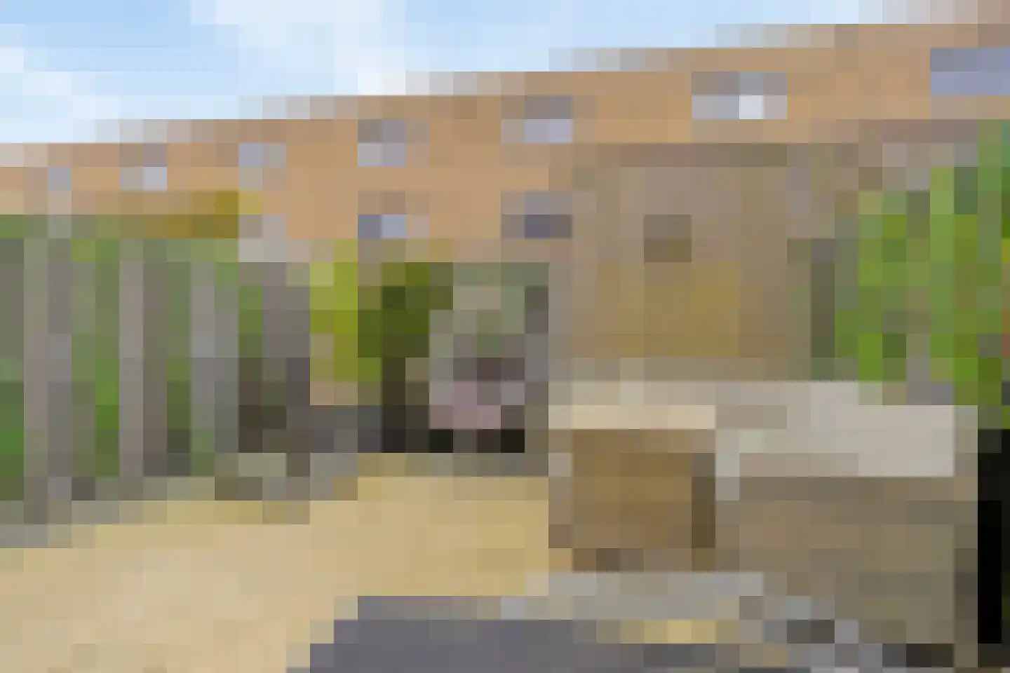Dintelstraat 17 Berkel en Rodenrijs thumbnail 10