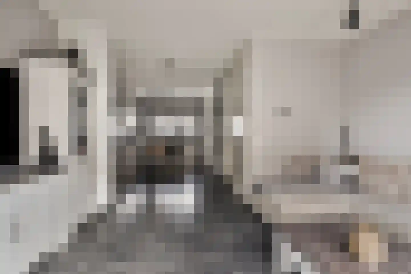 Dintelstraat 17 Berkel en Rodenrijs thumbnail 12