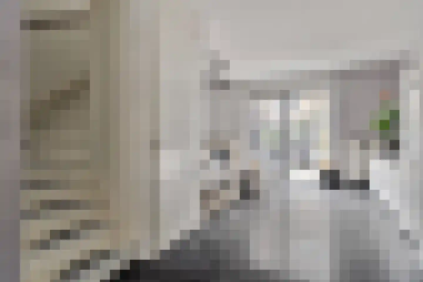 Dintelstraat 17 Berkel en Rodenrijs thumbnail 13