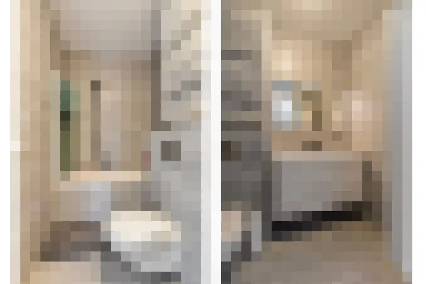 Dintelstraat 17 Berkel en Rodenrijs thumbnail 19