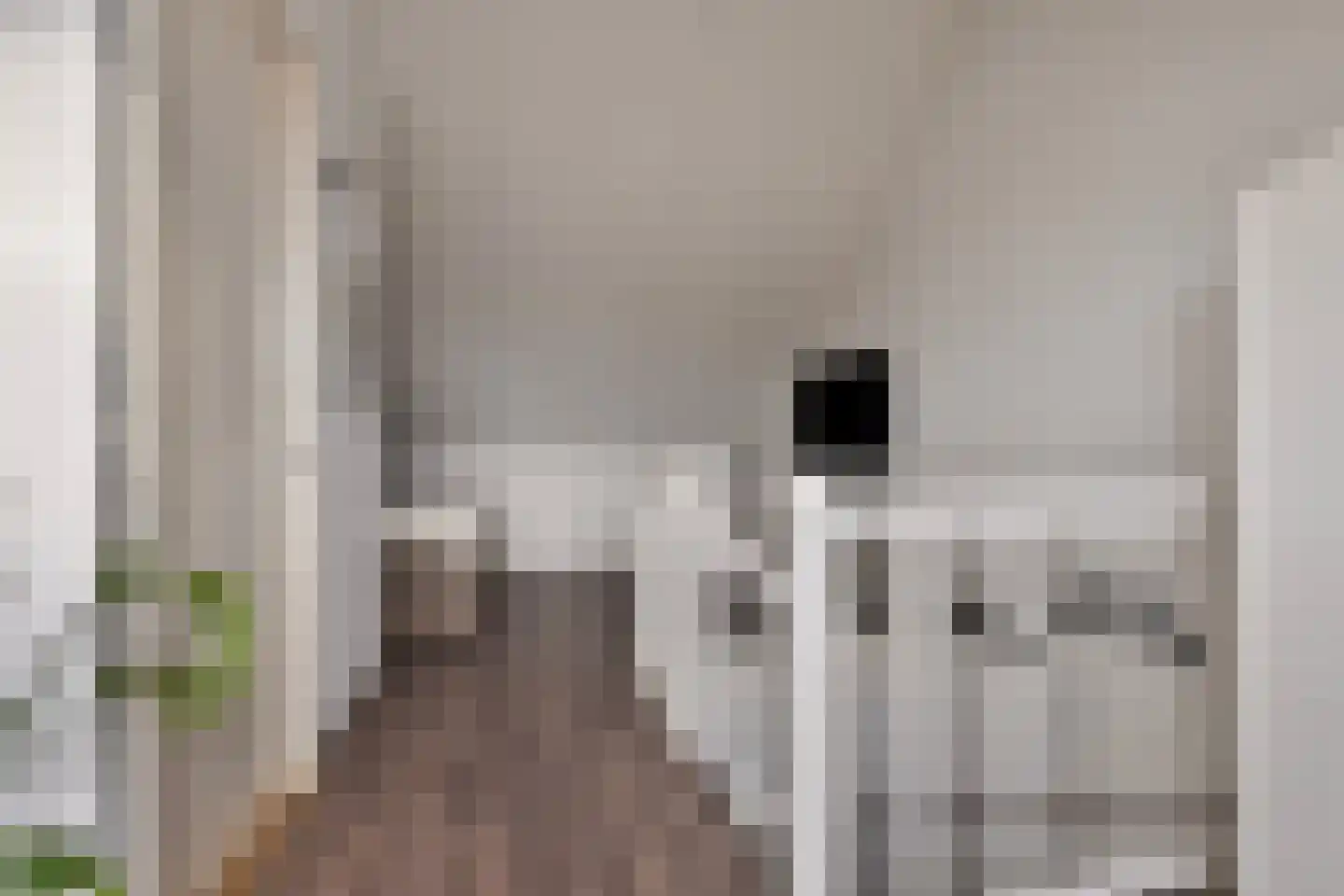 Dintelstraat 17 Berkel en Rodenrijs thumbnail 20