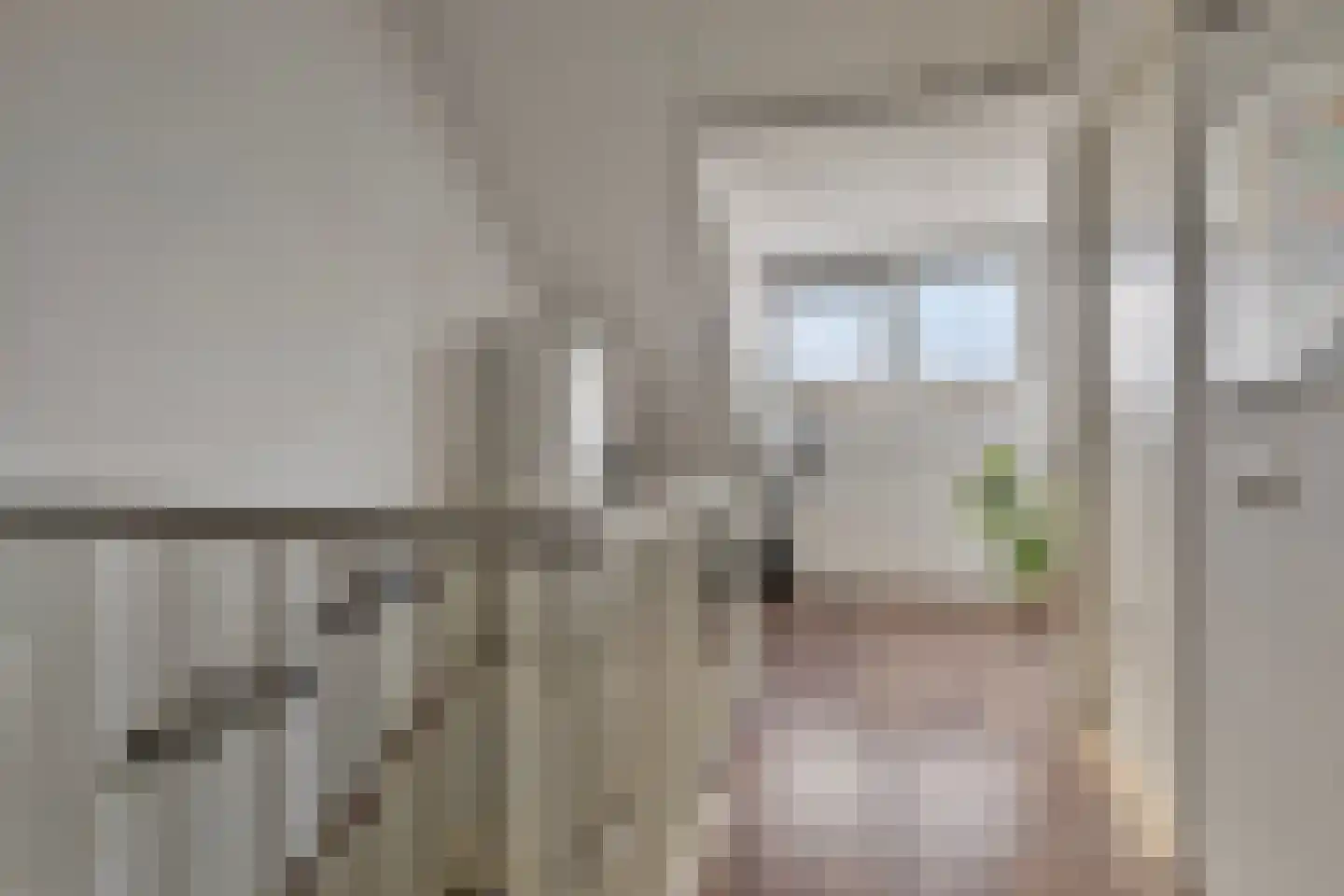 Dintelstraat 17 Berkel en Rodenrijs thumbnail 22