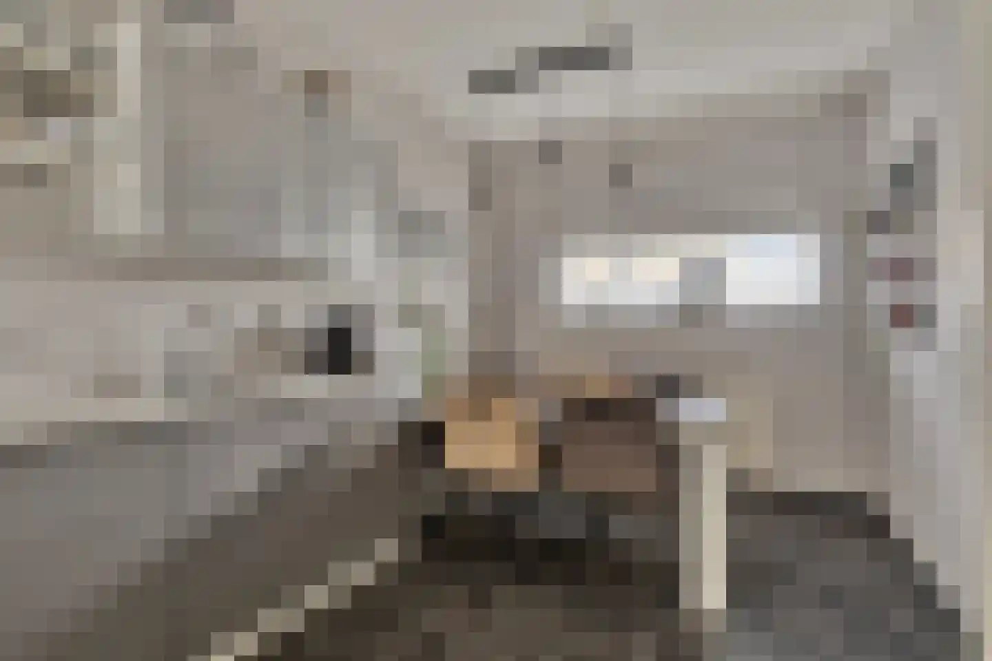 Dintelstraat 17 Berkel en Rodenrijs thumbnail 5