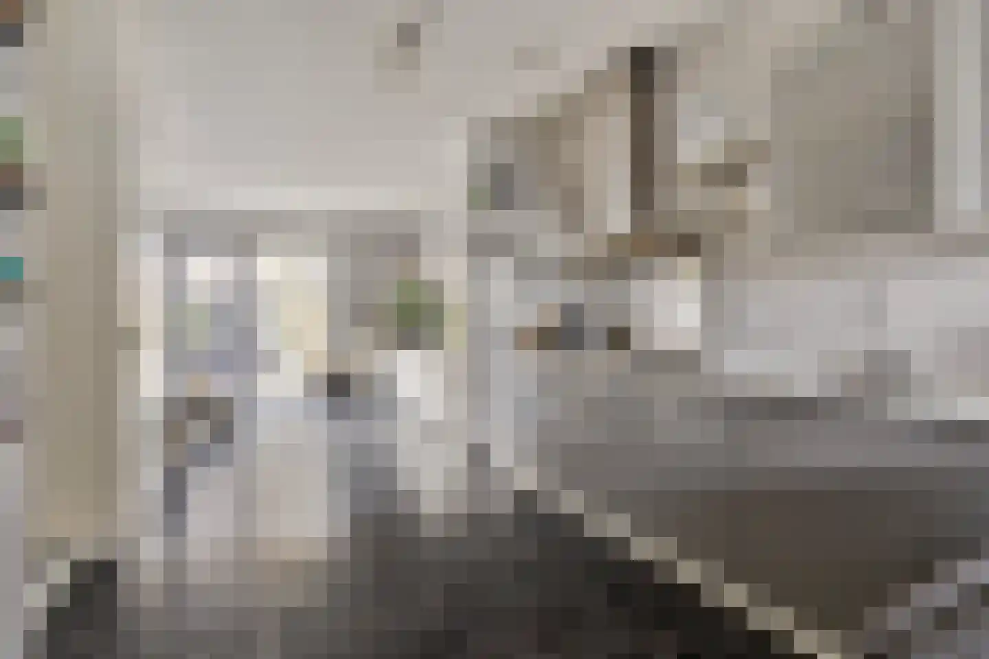 Dintelstraat 17 Berkel en Rodenrijs thumbnail 7