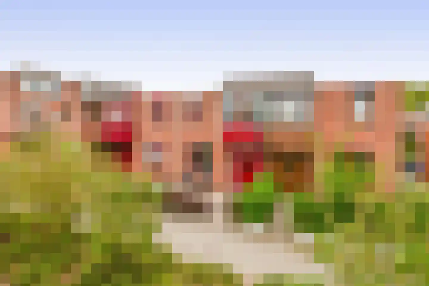 Dintelstraat 18 in Dordrecht