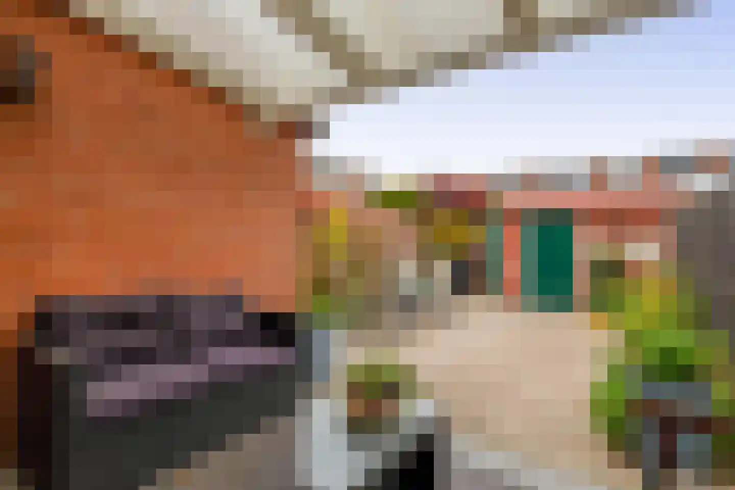 Dintelstraat 18 Dordrecht thumbnail 32