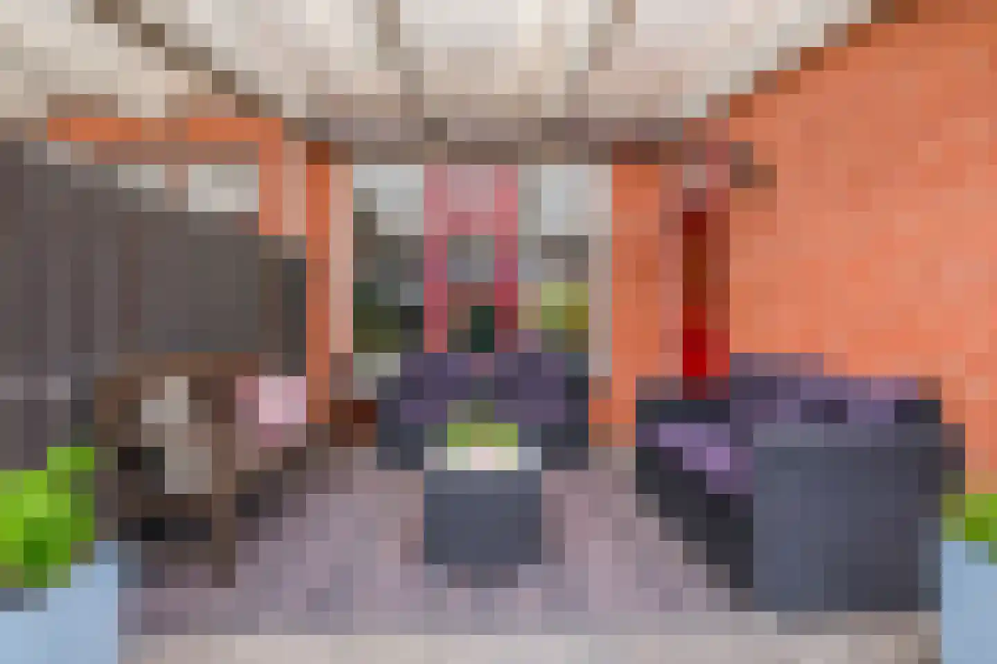 Dintelstraat 18 Dordrecht thumbnail 33