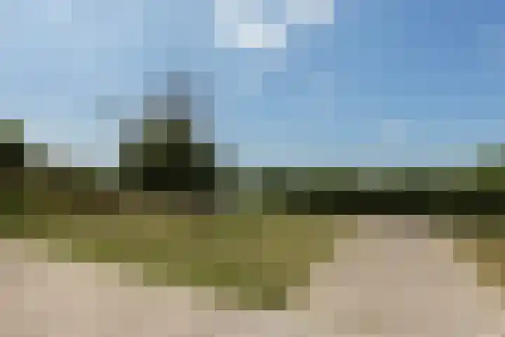 Dintelstraat 25 Berkel en Rodenrijs thumbnail 31
