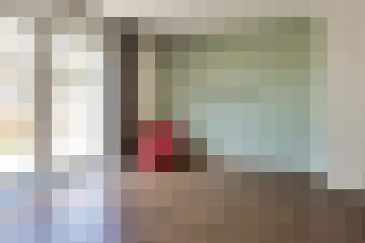 Dintelstraat 25 Berkel en Rodenrijs thumbnail 6