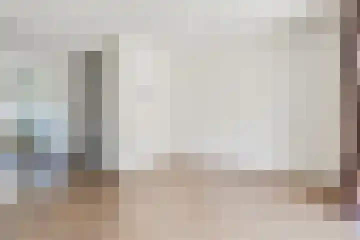 Dintelstraat 25 Berkel en Rodenrijs thumbnail 8