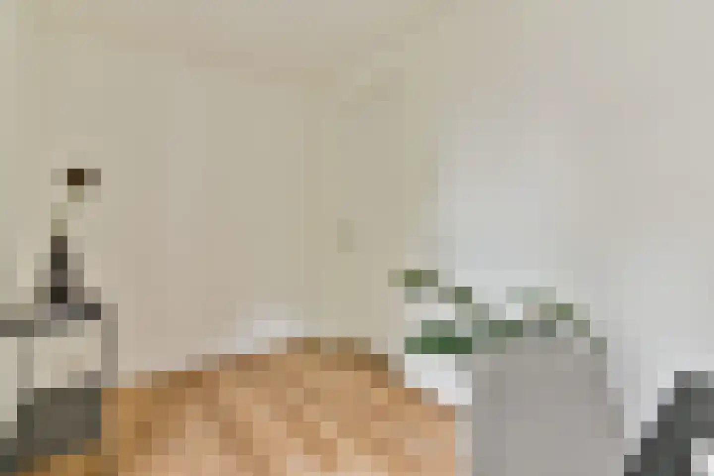 Dintelstraat 29 2 Amsterdam thumbnail 12