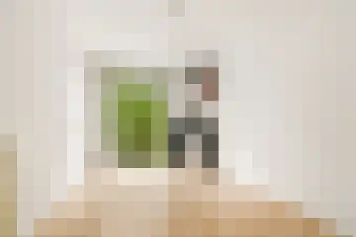 Dintelstraat 35 1 Amsterdam thumbnail 23