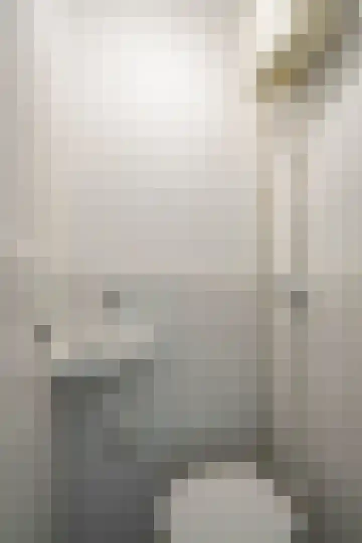 Dintelstraat 35 1 Amsterdam thumbnail 62
