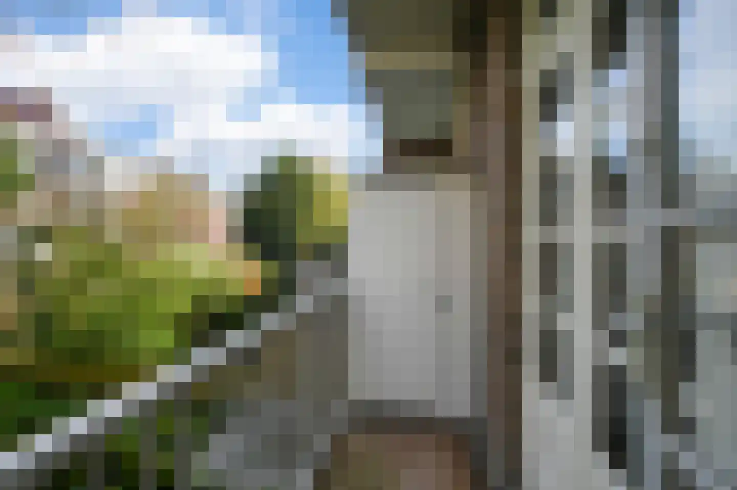 Dintelstraat 35 2 Amsterdam thumbnail 19