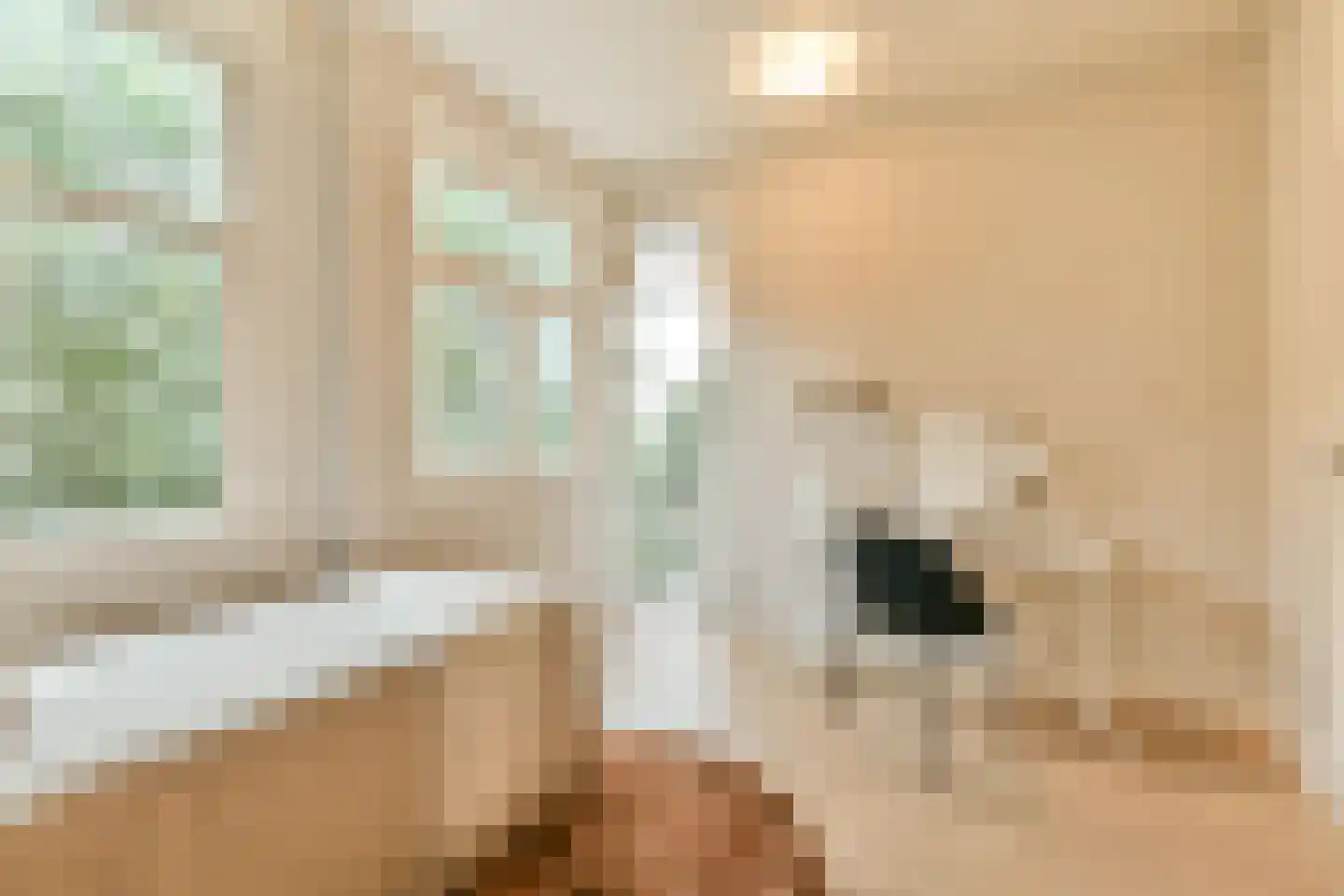 Dintelstraat 35 2 Amsterdam thumbnail 27