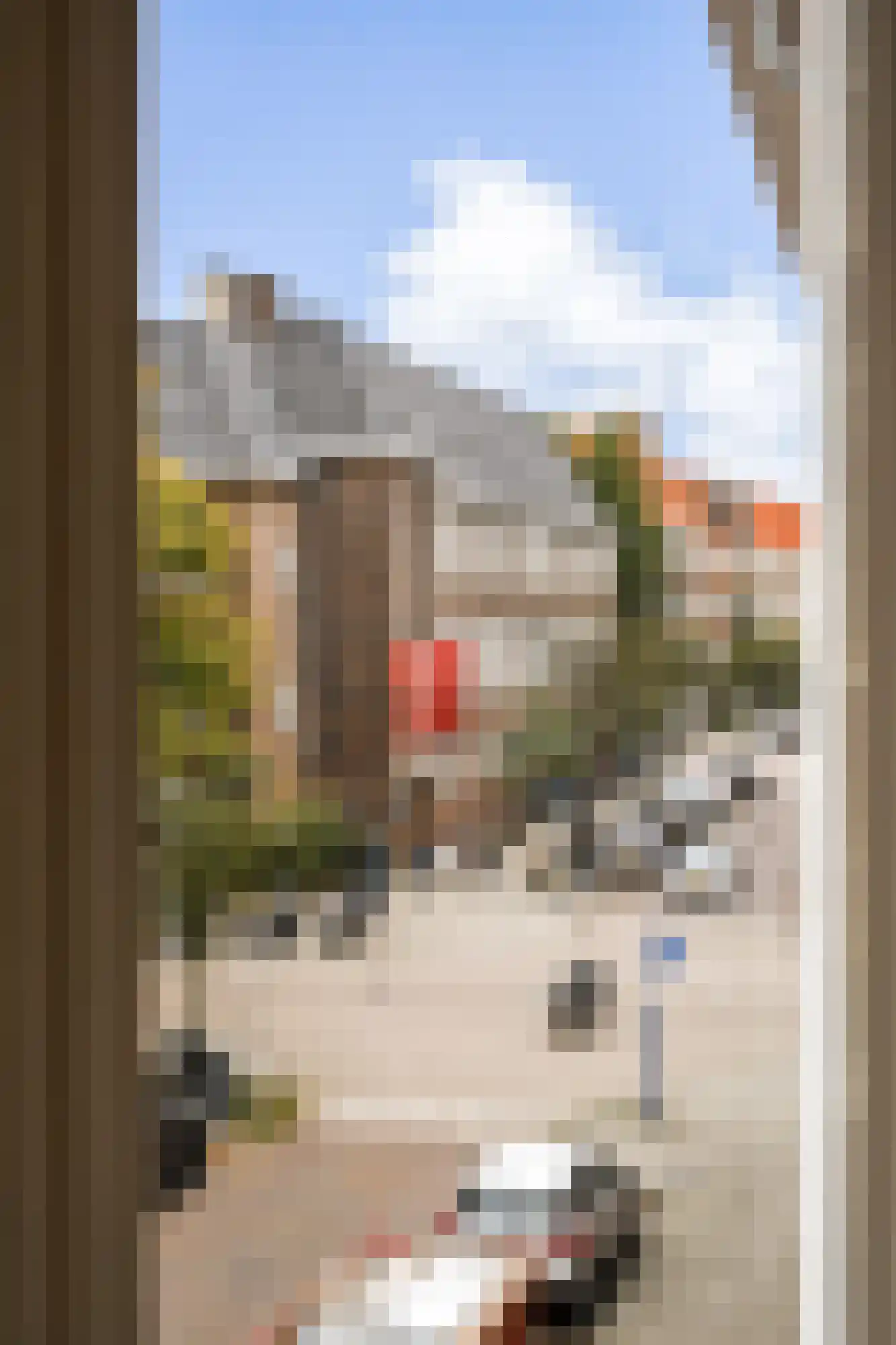 Dintelstraat 35 2 Amsterdam thumbnail 9