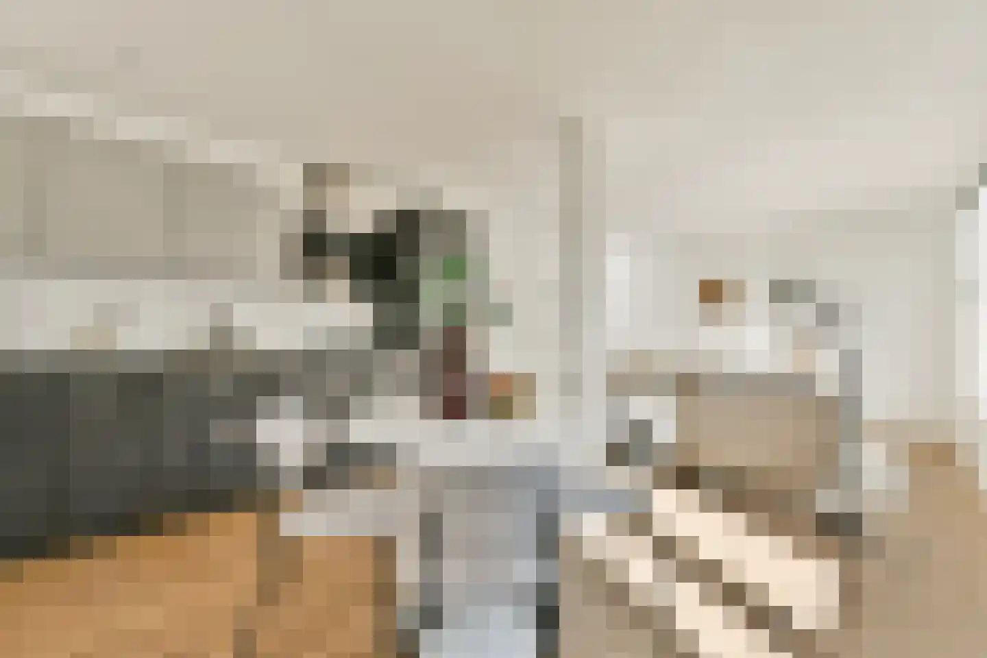 Dintelstraat 35 3 Amsterdam thumbnail 5