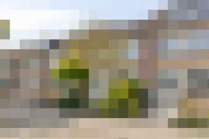 Dintelstraat 37 Alkmaar