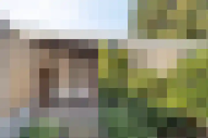 Dintelstraat 37 Alkmaar thumbnail 16