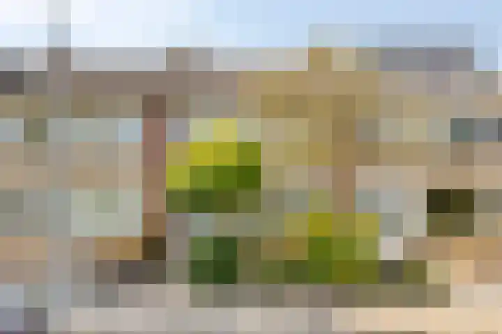Dintelstraat 37 Alkmaar thumbnail 34