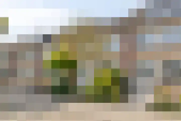 Dintelstraat 37 Alkmaar thumbnail 5