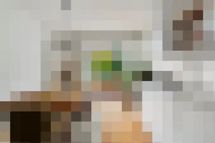 Dintelstraat 45 2 Amsterdam thumbnail 10