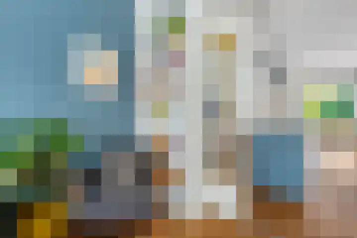Dintelstraat 45 2 Amsterdam thumbnail 8