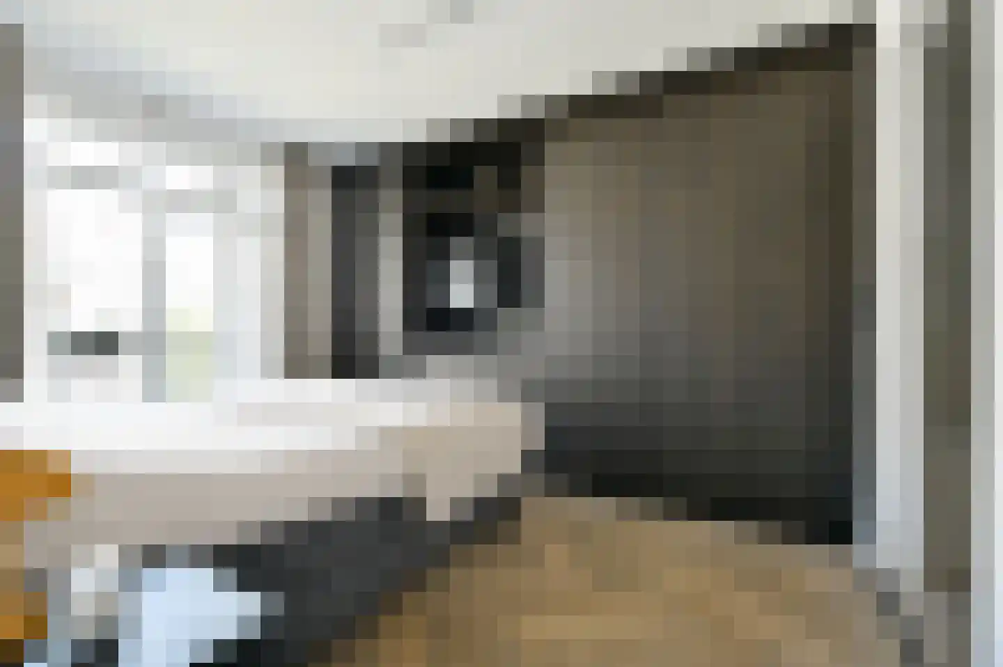 Dintelstraat 51 2 Amsterdam thumbnail 12