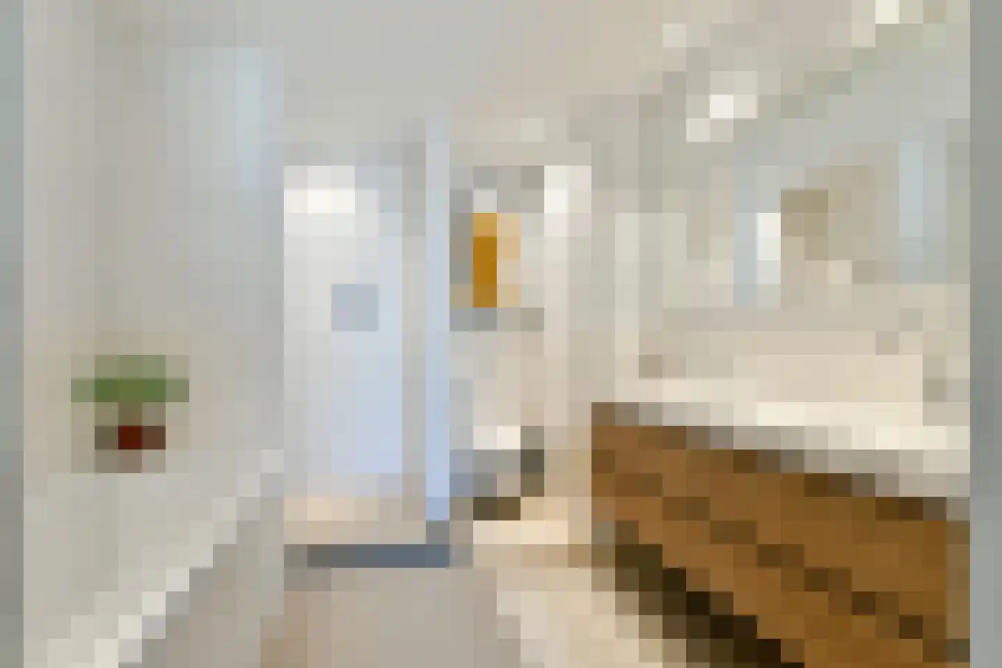 Dintelstraat 51 2 Amsterdam thumbnail 14