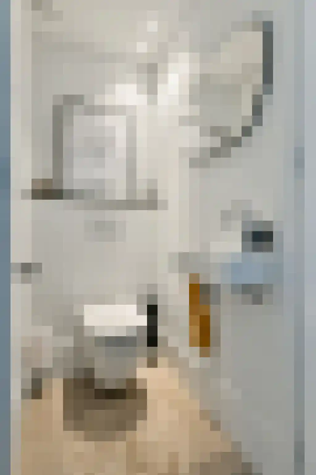 Dintelstraat 51 2 Amsterdam thumbnail 17