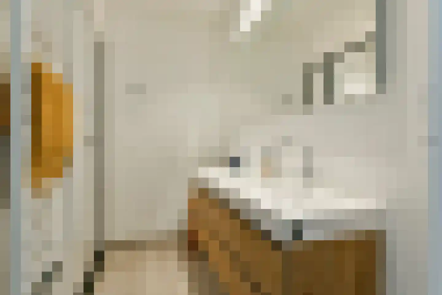Dintelstraat 51 2 Amsterdam thumbnail 18