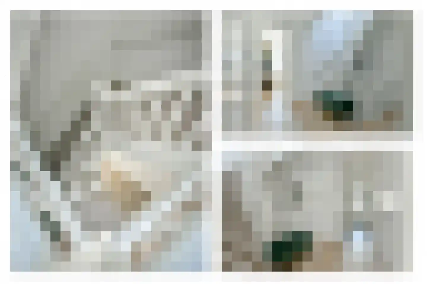 Dintelstraat 51 2 Amsterdam thumbnail 8