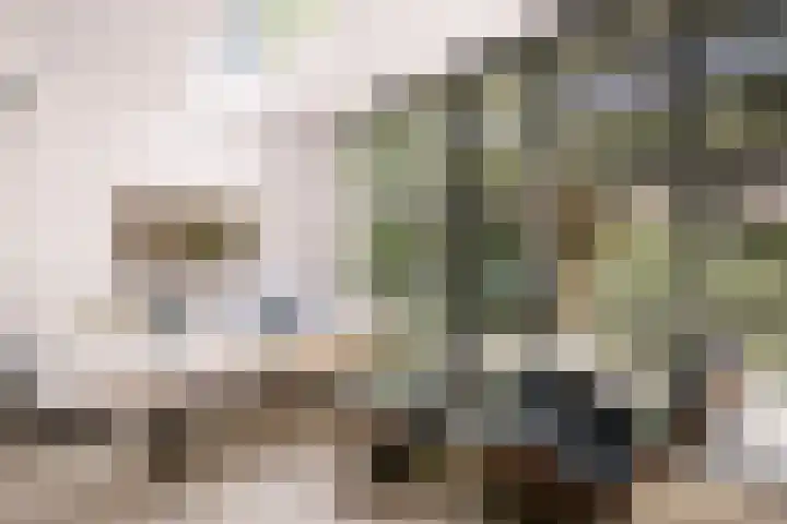 Dintelstraat 52 1 Amsterdam