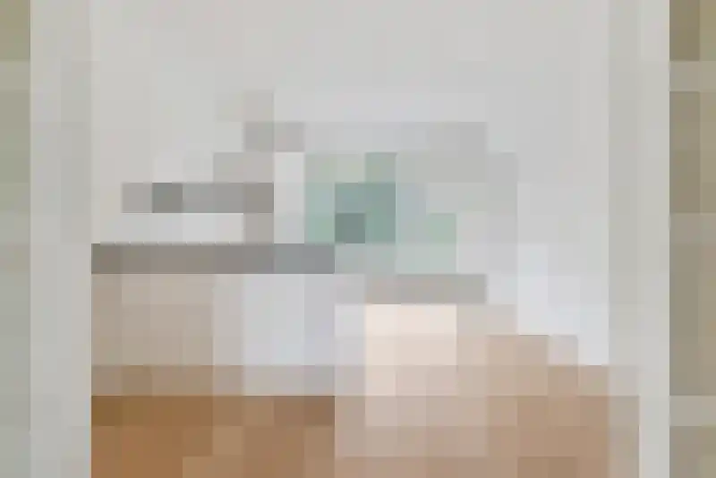 Dintelstraat 52 1 Amsterdam thumbnail 12