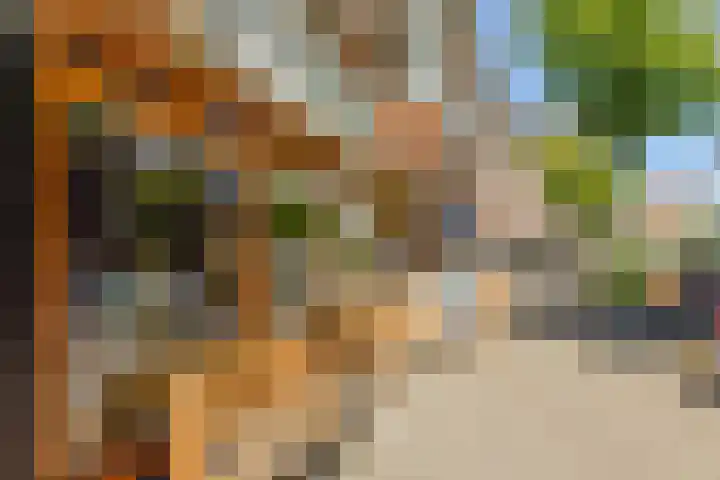 Dintelstraat 52 1 Amsterdam thumbnail 39