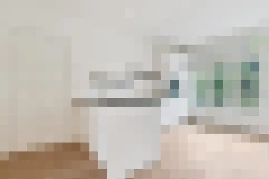 Dintelstraat 52 1 Amsterdam thumbnail 5